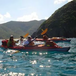 Pelican Sport Advanced Elements Inflatable ADVANCEDFRAME® Convertible Elite Kayak -Cheap Pelican Sport Store AE1007 E LS2