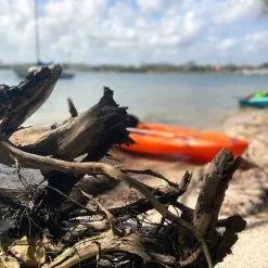 Pelican Sport Pulse 100X With Paddle Kayak 23 Pelican Sport Pulse 100X With Paddle Kayak -Cheap Pelican Sport Store KOS10P102 00 LS4