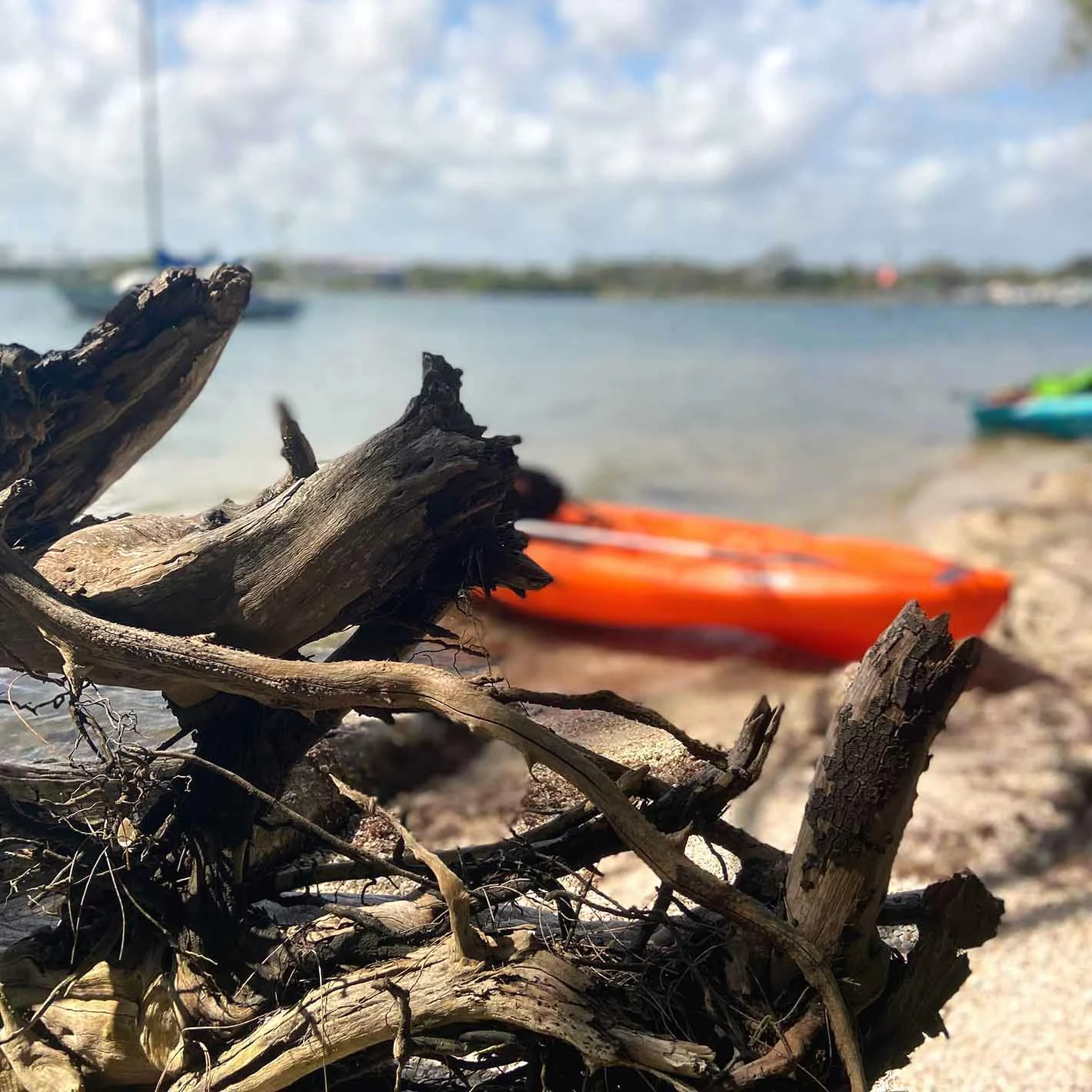 Pelican Sport Pulse 100X With Paddle Kayak 12 Pelican Sport Pulse 100X With Paddle Kayak - Image 10